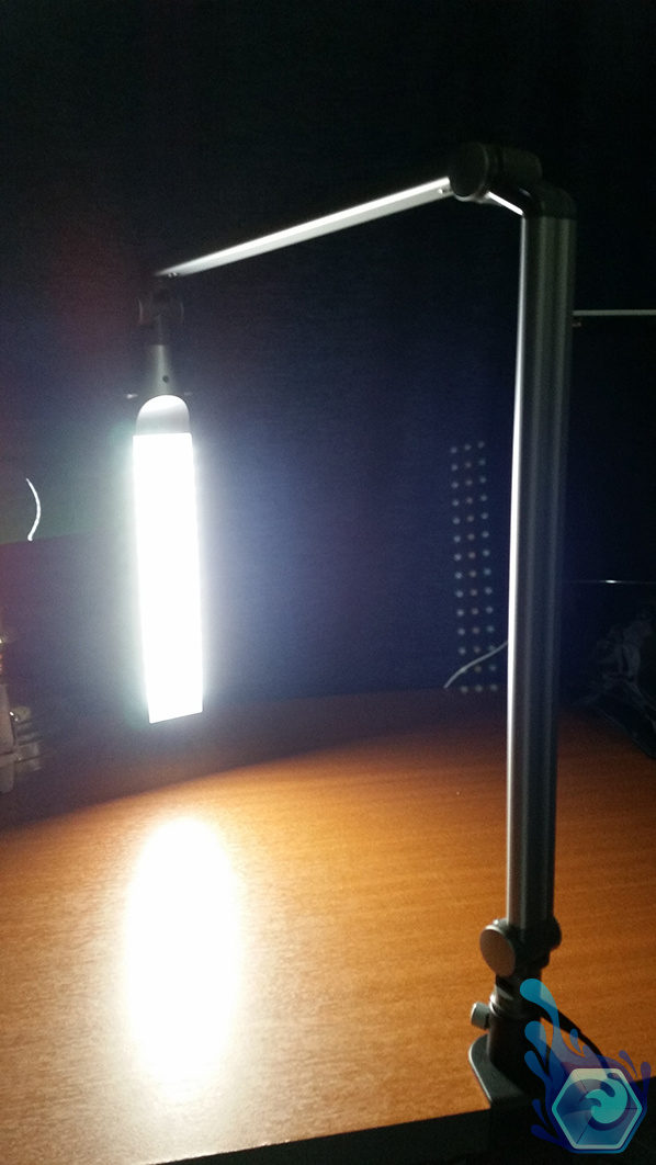 Diasonic LED Lamp